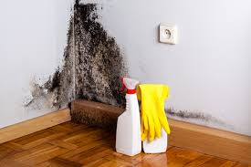 Best Mold Prevention Services  in USA